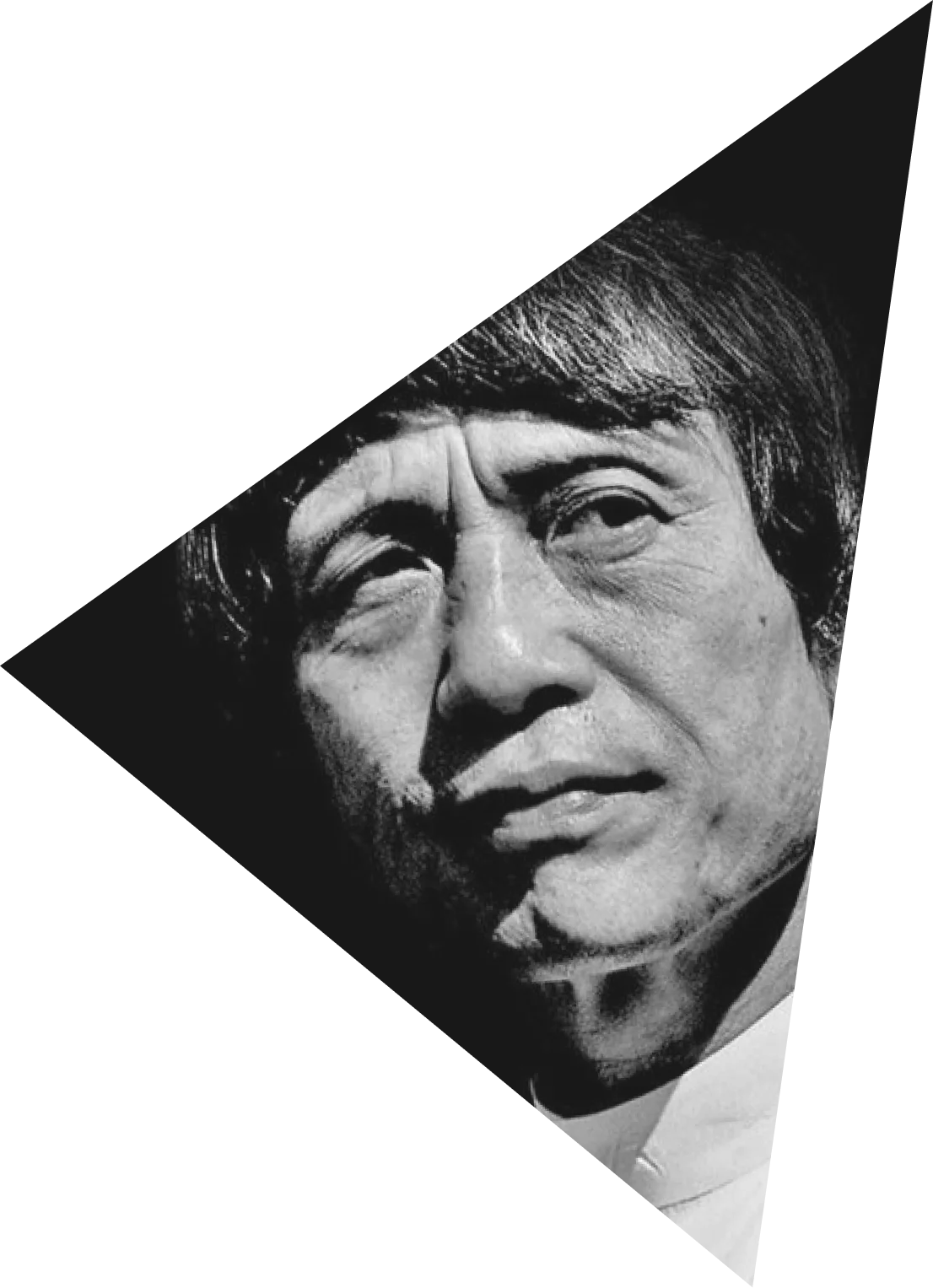 Tadao Ando